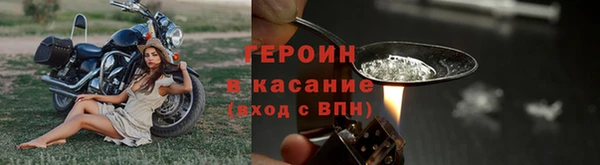 индика Бронницы